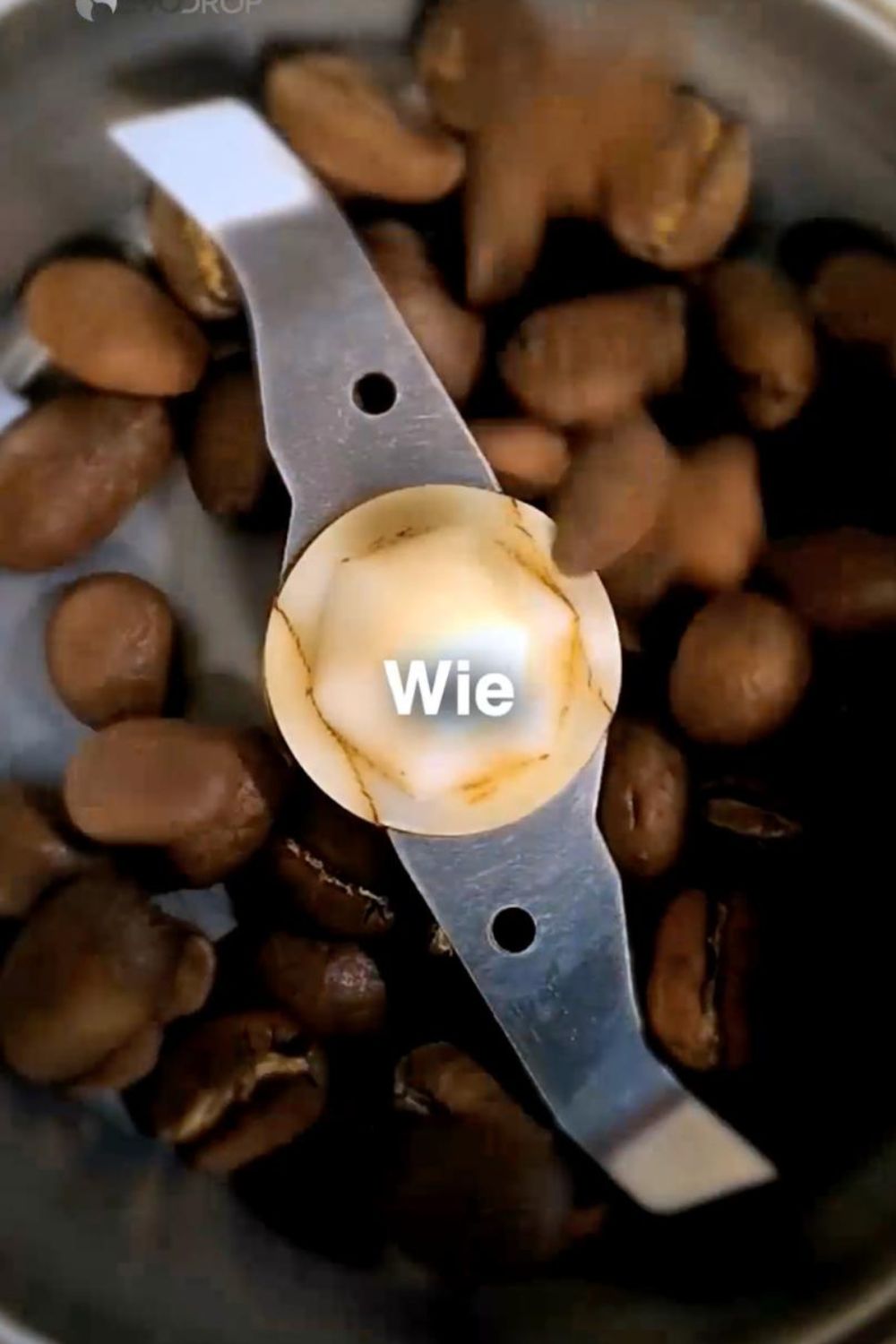 Portfolio Jonas Bartl, Evodrop - Mikroplastik Kaffeebecher